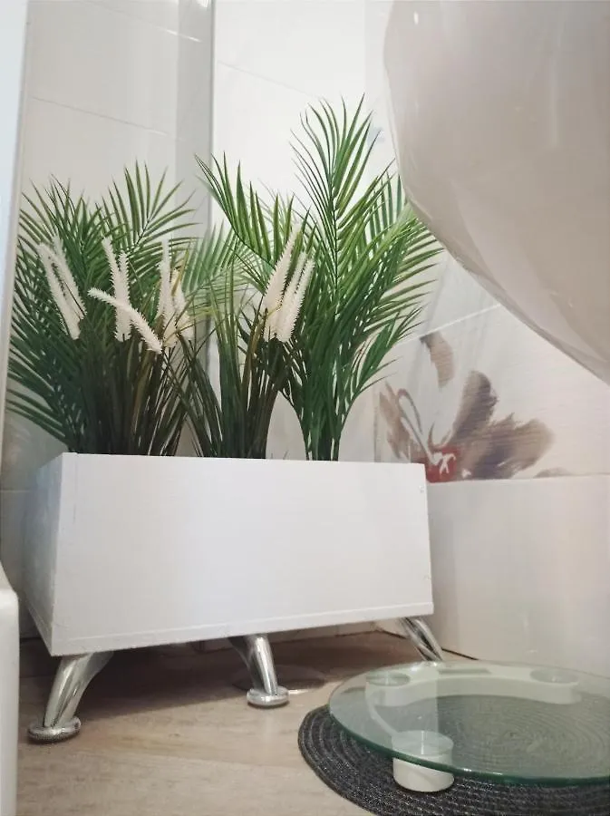 Bed and Breakfast Domus Pio XI Roma 0*,  Italia